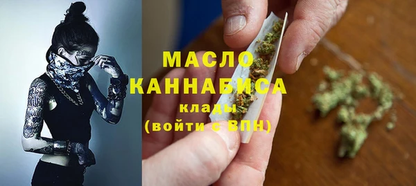 стаф Аркадак