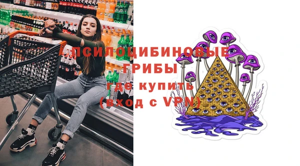 стаф Аркадак