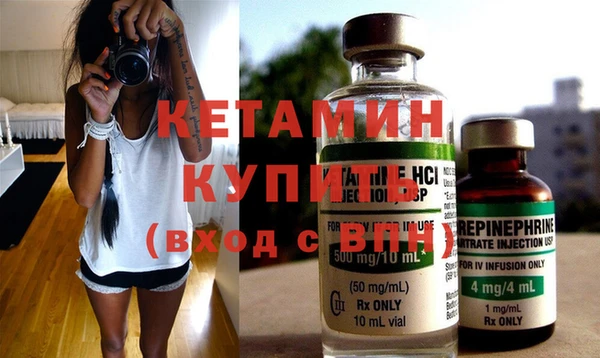 стаф Аркадак