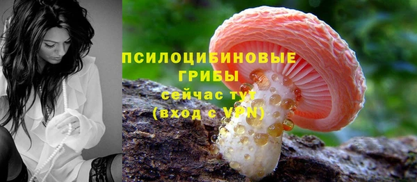 круглые Арсеньев