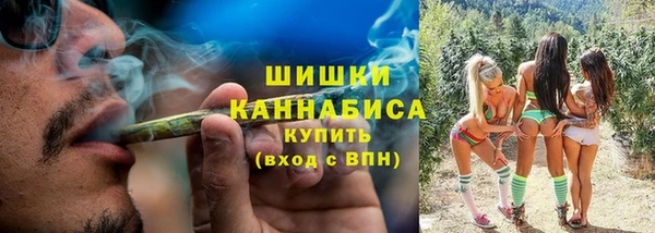 стаф Аркадак
