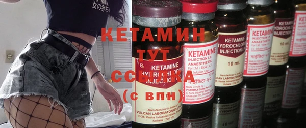 стаф Аркадак